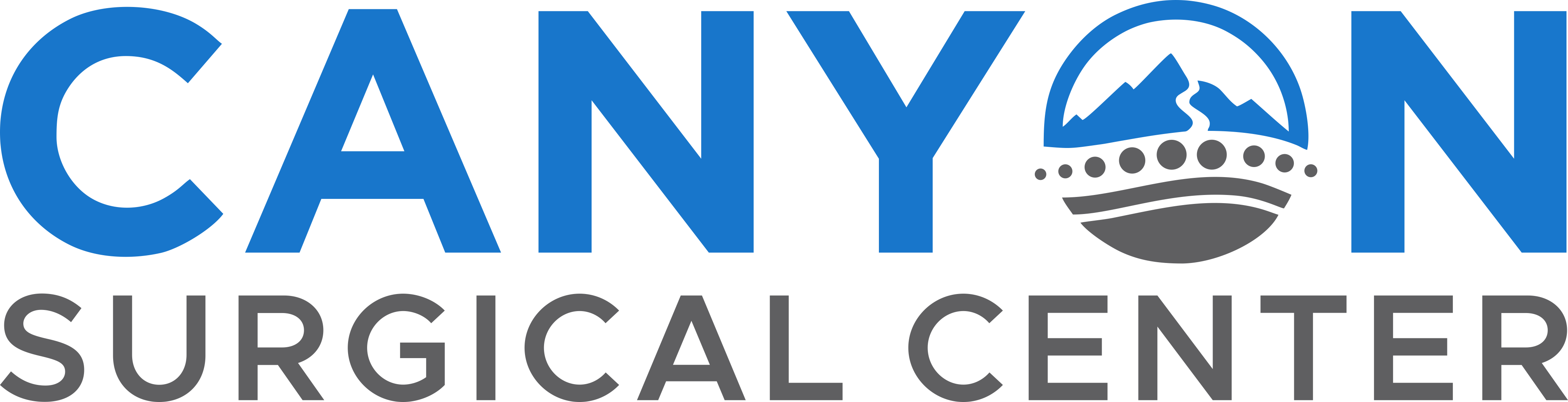 Canyon Surgical Center Logo